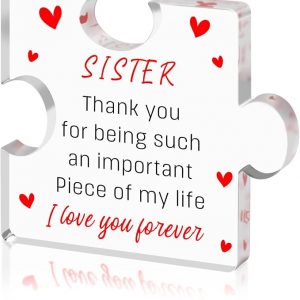 NANOOER Unique Sister Gifts, Gifts for Sisters from Sisters Brother, Happy Sister Birthday Gift Ideas, Cute Acrylic 3. 5x3. 5 Inch Desk Decorations