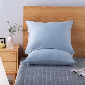 KASENTEX Zippered Pillowcase for Hair and Skin - Hidden Zipper Pillowcases Set of 2( 20x26 Standard/Queen, Blue)